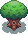 Field Maple