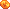 Amber Fossil