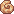 Ammonite Shell