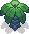 Palm Tree
