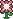 Dawn Flower