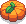 Giant Pumpkin