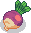 Giant Turnip