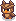 Hoot