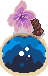 Oasis