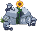 Sunflower Rock