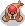 Walrus