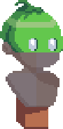 Coconut Mask