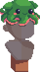 Blossom Dumbo